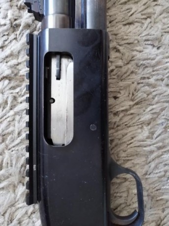 Vendo carabina calibre 22.lr marca Ruger modelo 10/22 y escopeta marca Mossberg modelo 500. Han estado 02