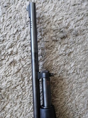 Vendo carabina calibre 22.lr marca Ruger modelo 10/22 y escopeta marca Mossberg modelo 500. Han estado 11