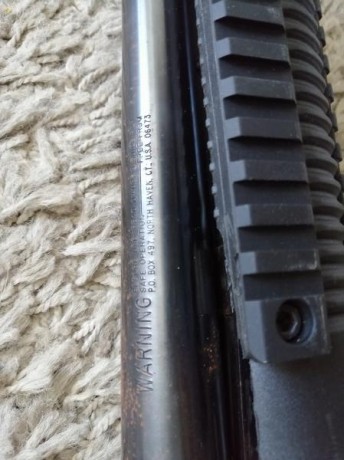 Vendo carabina calibre 22.lr marca Ruger modelo 10/22 y escopeta marca Mossberg modelo 500. Han estado 10