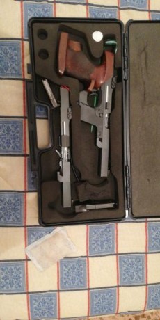 Vendo mi walther gsp con carro del 22 y 32 dos cargadores 1 de cada buen estado. Nada que decir de estas 00