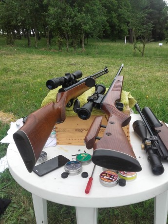 Bueno, para animar el foro un poco, propongo colgar fotos de dianas y arma usada para ello, pudiendo ser 50