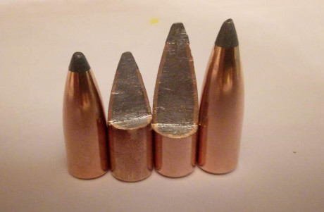 Haber que puntas me recomendais para un monotiro 308 con cañon de 20 para rececho solo de jabali,la polvora 42