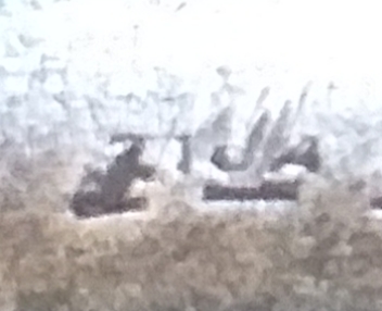Muy buenas amigos me gustaría saber si alguno de los foreros sabe algo sobre esta escopeta y si tiene 02