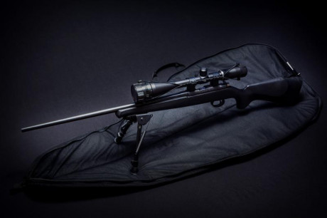 CZ 452-2E  ZKM
En magnífico estado, como se ve en las fotos. Vendo por no usar. 
Regalo mira telescópica 02