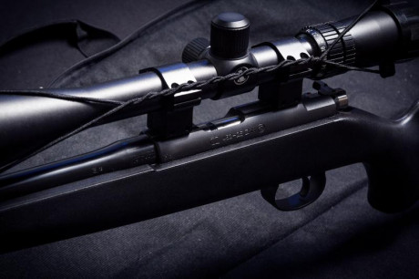 CZ 452-2E  ZKM
En magnífico estado, como se ve en las fotos. Vendo por no usar. 
Regalo mira telescópica 01