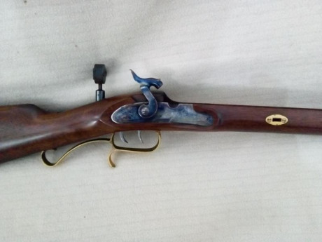 vendo rifle ardesa hawken del calibre 50
puntos de mira con piruleta y tunel , incluye la baqueta de carga 02