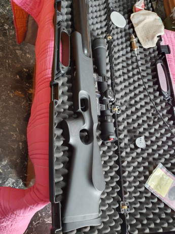 Pues eso ,vendo o cambio por bullpup de las mismas características pcp fx royal del 6.35 por bull-pup 11