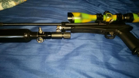 STINGER ARES CO2 PISTOL/CARBINE .22

                                                     “Fiel compañera 50
