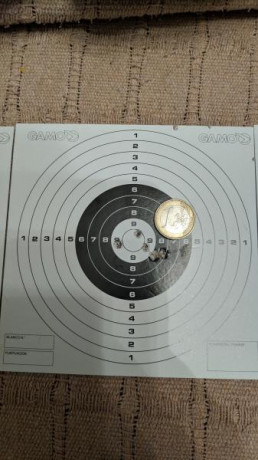 Bueno, para animar el foro un poco, propongo colgar fotos de dianas y arma usada para ello, pudiendo ser 70