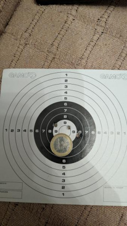 Bueno, para animar el foro un poco, propongo colgar fotos de dianas y arma usada para ello, pudiendo ser 81