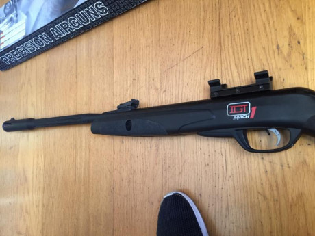 Hola a todos, vendo mi gamo black fusion del calibre 5,5 por no darle uso, esta cuidada aunque tenga arañazos 10