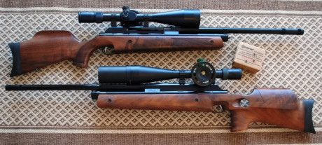 Bueno, para animar el foro un poco, propongo colgar fotos de dianas y arma usada para ello, pudiendo ser 170