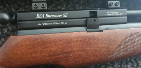 Vendo BSA BUCANNER con mira bsa,silenciador ,dos cargadores de 10 ,pitote de carga y puerto de transferencia 22