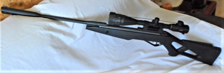 Se vende Kit de carabina de aire comprimido compuesto por:
 -	Carabina GAMO modelo Whisper X, calibre 02