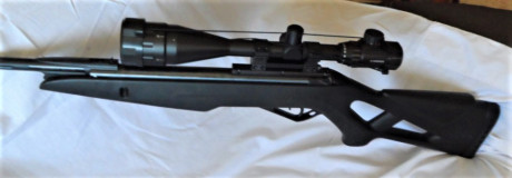 Se vende Kit de carabina de aire comprimido compuesto por:
 -	Carabina GAMO modelo Whisper X, calibre 01