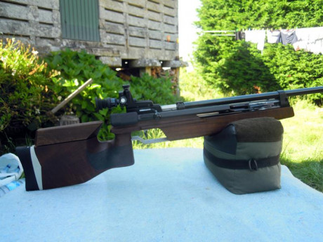 Bueno, para animar el foro un poco, propongo colgar fotos de dianas y arma usada para ello, pudiendo ser 40