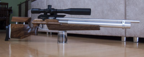 Bueno, para animar el foro un poco, propongo colgar fotos de dianas y arma usada para ello, pudiendo ser 111