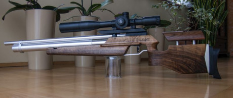 Bueno, para animar el foro un poco, propongo colgar fotos de dianas y arma usada para ello, pudiendo ser 110