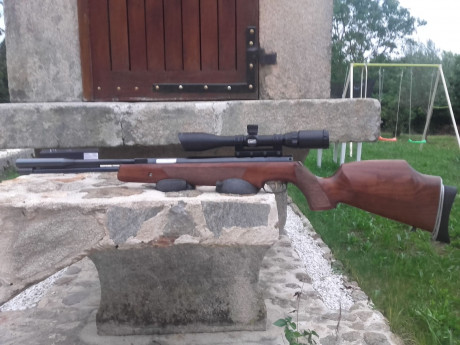 Buenos días,

Tiro en F class con rifle, y me gustaría comprar una carabina de aire para entrenar en casa 110