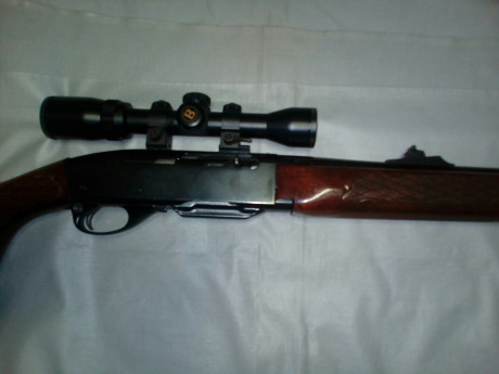 Se vende Rifle REMINNGTON Cal. 280 semiautomático visor Bushnell, muy buen estado.
Precio 900 euros 02