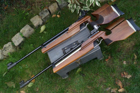 Bueno, para animar el foro un poco, propongo colgar fotos de dianas y arma usada para ello, pudiendo ser 80