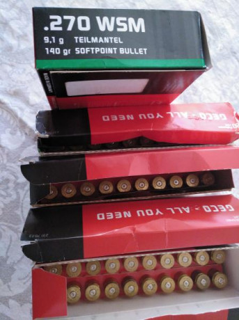 Muy buenas:
Vendo 100 vainas de un solo tiro del calibre 270wsm, por 45€.
Saludos. 00