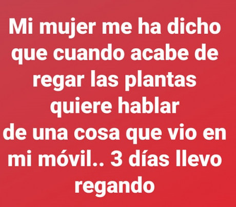 Con lo dado que somos los españoles a los chistes y que en este foro no se vean  :shock:  :shock:  :shock: 00