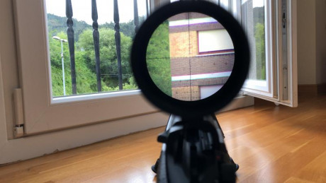 Buenos días,

Tiro en F class con rifle, y me gustaría comprar una carabina de aire para entrenar en casa 90