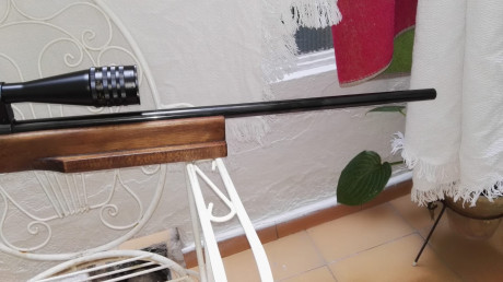 Se vende estas dos carabinas super precisas una para Varmint pesado marca toz super super precisa en su 01