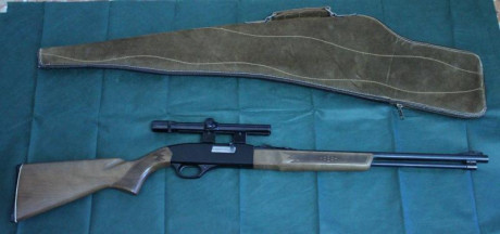 Buenas tardes, vendo carabina WINCHESTER, modelo 290, en calibre 22 o 22 LR. Está en buen estado. El visor 02