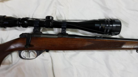 Vendido 00