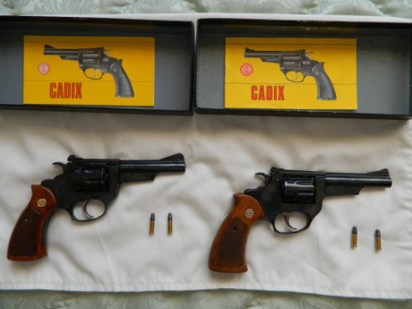 Hola.

Un amigo vende dos revolveres Astra Cadix del 22 por 80€ cada uno, gastos de envío aparte.

Las 00