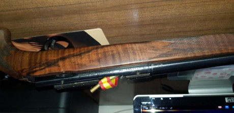 EN VENTA CARABINA ANSCHUTZ CAoLIBRE .22, MUY BUENA CARABINA PARA mini f-class, ha sido dos veces campeona 10
