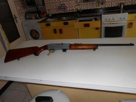 saludos.busco un cargador para carabina gevarm cal. 22 l.r. pongo una fota de la carabina. 00