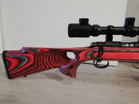 Buenas.
Vendo carabina CZ452 Supermach 22 lr
Cañon microestriado 60 cm
Practicamente sin uso 316 tiros
Mira 02