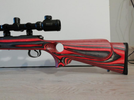Buenas.
Vendo carabina CZ452 Supermach 22 lr
Cañon microestriado 60 cm
Practicamente sin uso 316 tiros
Mira 01