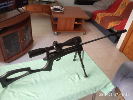 STINGER ARES CO2 PISTOL/CARBINE .22

                                                     “Fiel compañera 162