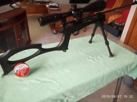 STINGER ARES CO2 PISTOL/CARBINE .22

                                                     “Fiel compañera 161