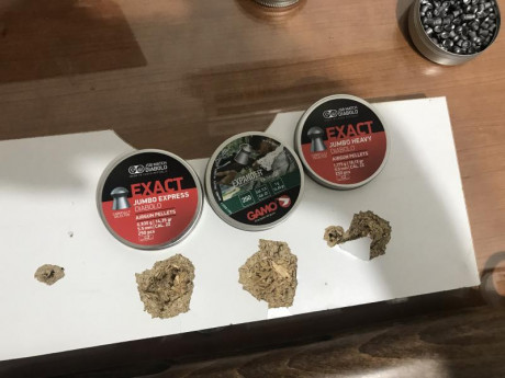 Buenas gente,Pues busco una carabina Pcp, a ser posible un pack,calibre 5.5,Bomba,Carabina,Que sea mira 120