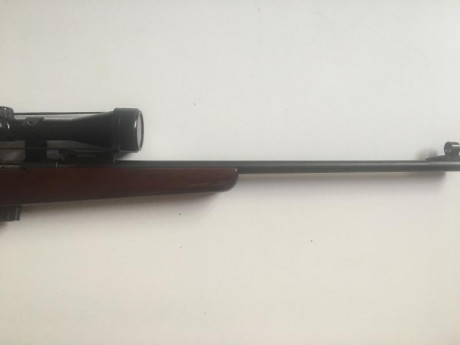 Vendo carabina TOZ 22lr, de cerrojo,17-1, con mira telescópica 3-9x40 y funda.175€ está en Valladolid.Portes 00