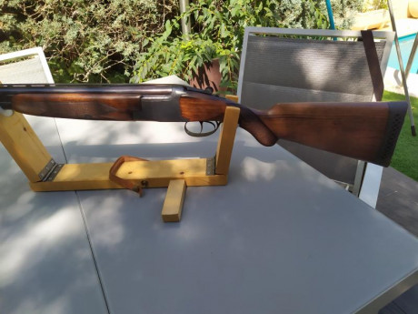 Un amigo deja la caza y me pasa esta maravilla para venderla
1300 € . No cambios 01