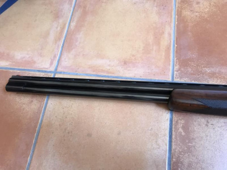 Vendo escopeta Franchi de trap en perfecto estado. Se vende por no usar desde hace años. La escopeta se 10