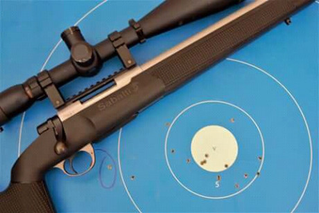 Que armas o rifles usan?
No lo dicen en la noticia

https://www.elespanol.com/espana/20190804/acertar-enemigo-metros-ejercito-chinchilla-tiradores-irak/418459089_0.html 80