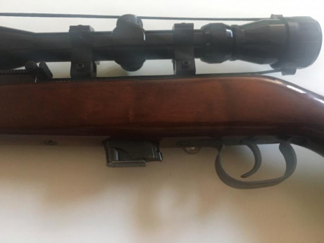 Vendo carabina TOZ 22lr, de cerrojo,17-1, con mira telescópica 3-9x40 y funda.175€ está en Valladolid.Portes 110