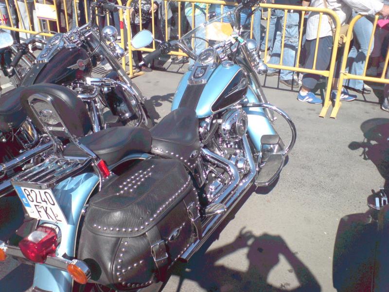Hola compis, con motivo de la Fiestas Patronales en Honor a la Virgen del Rosario, el ayuntamiento ha 00