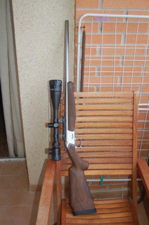 ...la que yo tengo, y es que dentro de unos años me he propuesto comprar un rifle como el que tengo, un 11