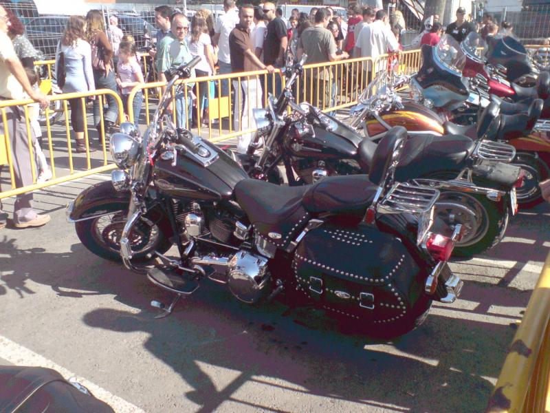 Hola compis, con motivo de la Fiestas Patronales en Honor a la Virgen del Rosario, el ayuntamiento ha 10