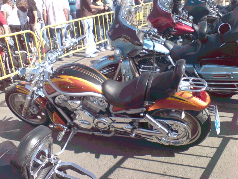 Hola compis, con motivo de la Fiestas Patronales en Honor a la Virgen del Rosario, el ayuntamiento ha 20