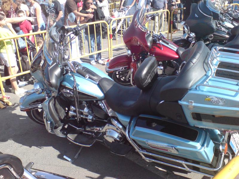 Hola compis, con motivo de la Fiestas Patronales en Honor a la Virgen del Rosario, el ayuntamiento ha 30