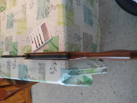 https://www.armerianassar.net/es/hatsan-de-635mm/2285-carabina-hatsan-striker-1000x-635mm-5555.html


Valoración 22
